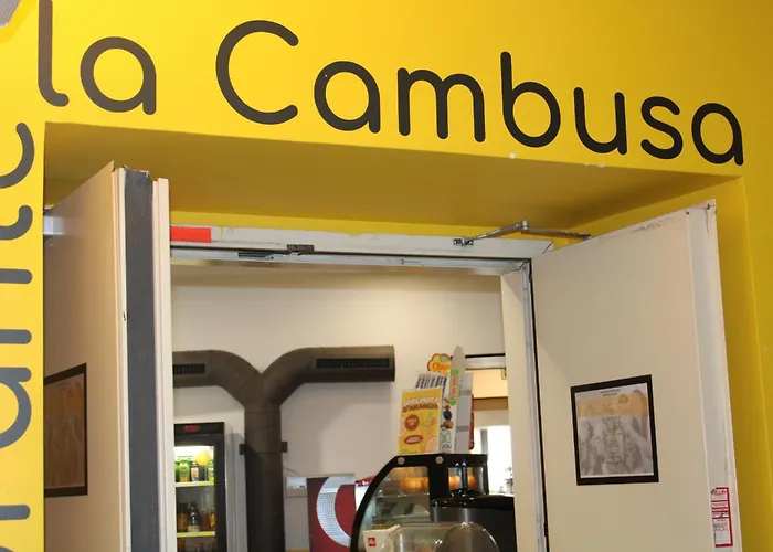 Resort: Roma Scout Center