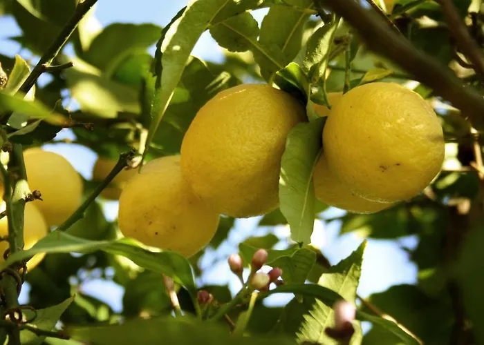Albergo economico: B&B Il Giardino di Gabri